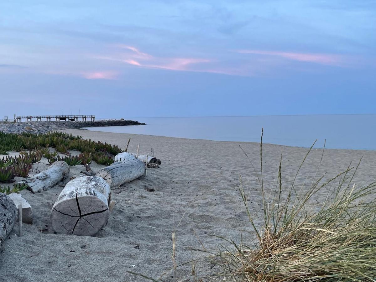 In Naturiste Direkt Am Leucate